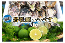 【期間限定発送】岩牡蠣 殻付き 細島 岩ガキ 約4kg 日向特産 へべす 500ｇ セット [道の駅日向 宮崎県 日向市 452061391] いわがき 岩がき 牡蠣 日豊海岸 濃厚 クリーミー