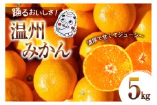 【期間限定発送】踊るおいしさ！甘くてジューシー 温州みかん 5kg [奈須農園 宮崎県 日向市 452061477] 果物 フルーツ 柑橘 みかん ミカン