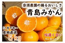 【期間限定発送】踊るおいしさ！味濃く甘い！ 青島みかん 2L 5kg [奈須農園 宮崎県 日向市 452061479] 果物 フルーツ 柑橘 みかん ミカン 