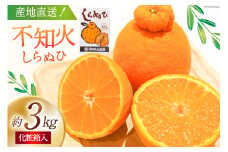 【期間限定発送】じゅわーっと甘い 不知火 約3kg（ハウス栽培・化粧箱入り） [たけちゃん農園 宮崎県 日向市 452060822] 果物 フルーツ 柑橘類