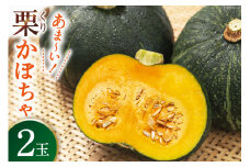【期間限定発送】 野菜 栗カボチャ 2玉 [たくちゃんの野菜農園 宮崎県 日向市 452060909] かぼちゃ 南瓜 カボチャ 完熟 甘い ホクホク ほっこり133 ブラックのジョー 国産