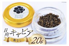 キャビア 日向キャビア (Hyuga Caviar) 20g 箱なし [ウィズ・クリエイティブ 宮崎県 日向市 452060891] 冷凍 宮崎 国産 チョウザメ フレッシュ 瓶