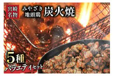 地頭鶏 炭火焼 ながともおすすめ バラエティセット [ルミエール日向 宮崎県 日向市 452060878] 真空パック 冷凍 宮崎地鶏 じとっこ 鶏もも 手羽先 手羽元 肝 ハンバーグ