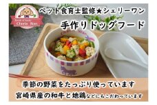 ドッグフード 【ペット食育士監修】 日向市産の野菜をたっぷり使った 手作り ドッグフード (4種×各1個) [ウィズ・クリエイティブ 宮崎県 日向市 452060821] ペット ペットフード