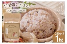 米 無洗米 11穀満足ごはん ごほうびごはん 250g×4 計 1kg [DANBO*DELI 宮崎県 日向市 452060022] 小分け 国産 ブレンド米 雑穀米 こめ コメ 雑穀