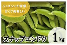 【期間限定発送】 野菜 スナップエンドウ 約1kg [盛光農園 宮崎県 日向市 452061219] スナックエンドウ 国産