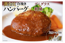 日向100年ハンバーグ (デミグラス・和風) 2種×3 計6個 [サニーガーデン 宮崎県 日向市 452061263] 加工品 惣菜 個包装 レンジ 簡単 冷凍