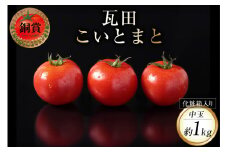 【発送期間限定】 野菜 瓦田こいとまと 中玉 約1kg×1箱 [かわらだ 宮崎県 日向市 452060910] トマト 国産