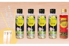 ドレッシング 日向夏ドレッシング 295ml 4本 うま ピリ辛 タイプ 日向夏ドレッシングRED 295ml 1本 小分け袋付き [ミツイシ 宮崎県 日向市 452060838] 調味料 柑橘 日向夏 詰め合わせ セット