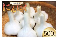 にんにく 《2024年6月～11月発送予定》 日向市産 にんにく 500g 農薬不使用 化学肥料不使用 [甲斐自然派農園 宮崎県 日向市 452060132] 国産 ニンニク
