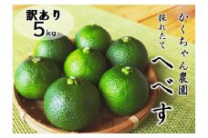 【期間限定発送】 訳あり  採れたてへべす 5kg [かくちゃん農園 宮崎県 日向市 452060673] 果物 柑橘 へべす 平兵衛酢 ヘベス 期間限定 数量限定 規格外 家庭用 果汁 香酸柑橘 調味料 宮崎 ビタミンC アミノ酸 国産 種が少ない