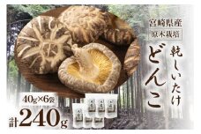 宮崎県産 原木栽培 乾しいたけ どんこ 40g 6袋 計240g [本吉 宮崎県 日向市 452061461] しいたけ 椎茸 乾燥 干し 国産