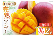 【2025年夏発送】 訳あり 宮崎 完熟 マンゴー 家庭用 3L×2玉 [宮崎県農業協同組合日向地区本部（販売課） 宮崎県 日向市 452060658] 果物 フルーツ 規格外 完熟マンゴー 甘い 日向 期間限定 冷蔵 サンキュー3Ｌパック