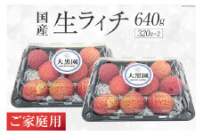 【期間限定発送】 ご家庭用 生ライチ 320g×2パック [大黒園 宮崎県 日向市 452060923] 果物 フルーツ 国産 宮崎産 訳あり