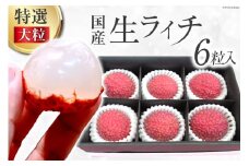 【期間限定発送】 特選 大粒 生ライチ 6粒入り [大黒園 宮崎県 日向市 452060924] 果物 フルーツ 国産 宮崎産