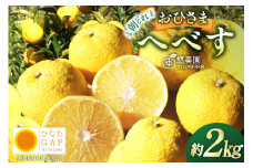 【期間限定発送】 おひさまへべす ひなたGAP認定 ふぞろい 2kg [へべすの悠美園 宮崎県 日向市 452060723] へべす ヘベス 宮崎 果物 フルーツ くだもの 柑橘 ポン酢 調味料 果汁