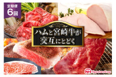 【定期便 6回】 日本ハム 宴の彩りハムと 宮崎牛が交互に届く [日本ハムマーケティング 宮崎県 日向市 452060959] ステーキ ロースハム 焼肉 肉 すき焼き
