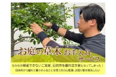 【要・お申込前ご連絡】お庭のお手入れ(作業地：日向市内限定)《1日7時間程度》 [宮崎県 日向市 85-01-(25)]