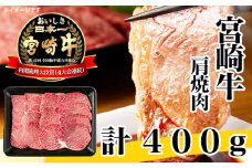 牛肉 宮崎牛 A4 A5 等級 牛肩 焼肉 400g [日本ハムマーケティング 宮崎県 日向市 452060963] スライス 冷凍 バーベキュー 牛 肉 宮崎