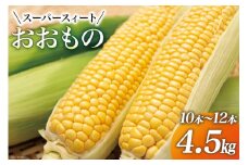 【期間限定発送】 とうもろこし スイートコーン 『おおもの』4.5kg (10本～12本) [黒木ふぁーむ 宮崎県 日向市 452060140] トウモロコシ 糖度