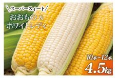 【期間限定発送】 とうもろこし スイートコーン おおもの(黄)・ホワイトレディ(白) 4.5kg (10本～12本) [黒木ふぁーむ 宮崎県 日向市 452060141] トウモロコシ 糖度