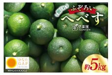 【期間限定発送】 へべす ひなたGAP認定 ふぞろい 5kg [へべすの悠美園 宮崎県 日向市 452060724] ヘベス 宮崎 果物 フルーツ くだもの 柑橘 ポン酢 調味料 果汁