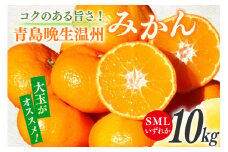 【期間限定発送】 みかん 10kg コクのある甘さ うまぁ〜い！！青島晩生温州みかん S・M・Lいずれか [黒田農園 宮崎県 日向市 452061305] 果物 フルーツ ミカン 蜜柑 柑橘 贈答用