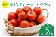 【期間限定発送】 訳あり トマト SUNすいーと 1kg×2箱 [にいな農園 宮崎県 日向市 452060917] 野菜 フルーツトマト 高糖度 甘い 不揃い 家庭用
