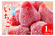 【訳あり】 果物 フレッシュ 完熟 冷凍いちご 500g×2袋 計1kg [亀の子いちご園 宮崎県 日向市 452060853] フルーツ 苺 イチゴ 完熟 新鮮 国産