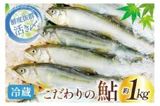 【期間限定発送】 鮎 こだわりの生鮎 約1kg [株式会社 あゆの是則 宮崎県 日向市 452060793] あゆ アユ 魚 魚介 川魚 塩焼き 甘露煮 冷蔵 生あゆ 子持ち鮎