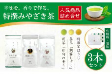 茶 特撰 みやざき茶 3本 セット [谷岩茶舗 宮崎県 日向市 452061375] 詰め合わせ 飲み比べ 煎茶 釜炒り ほうじ お茶 香り 和菓子 茶葉