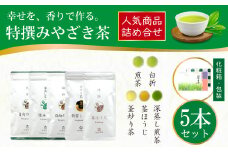 茶 特撰 みやざき茶 5本 セット [谷岩茶舗 宮崎県 日向市 452061374] 日本茶 詰め合わせ 飲み比べ 煎茶 深蒸し 釜炒り 白折 ほうじ お茶 香り 和菓子 茶葉