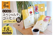 定期便 6回 【日本一の焙煎士厳選】珈琲 粉 100g×3種 スペシャルティコーヒー 飲み比べ [日向珈琲 宮崎県 日向市 452061207] コーヒー 焙煎 自家焙煎 詰め合わせ