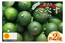 【期間限定発送】 へべす ひなたGAP認定 ふぞろい 2kg [へべすの悠美園 宮崎県 日向市 452060725] ヘベス 宮崎 果物 フルーツ くだもの 柑橘 ポン酢 調味料 果汁