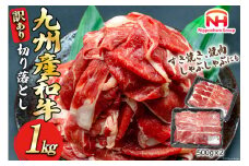 牛肉 訳あり 日本ハム 九州産 和牛 切り落とし 500g 2p 計 1kg [日本ハムマーケティング 宮崎県 日向市 452061137] 冷凍 小分け 個包装 牛 すき焼き もも肉 モモ肉 牛バラ 牛肩