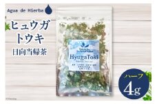ハーブティー ヒュウガトウキ ハーフサイズ 4g×1袋 [Agua de Hierba 宮崎県 日向市 452060512] ハーブ 日向当帰 茶 ティーバッグ 簡易包装 お茶 お試し