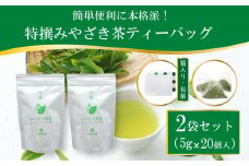 茶 特撰 みやざき 煎茶 ティーバッグ 5g×20個入 計2袋 [谷岩茶舗 宮崎県 日向市 452061008] お茶 日本茶 新茶 簡易包装 一番茶 新茶