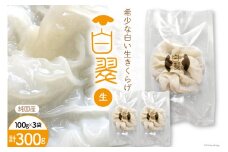 【期間限定発送】 きのこ 白 生きくらげ 100g 3袋 [きくらげ堂 日向店 宮崎県 日向市 452060820] きくらげ キクラゲ 木耳 食物繊維 冷蔵