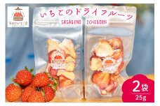 ドライフルーツ 完熟 ドライフルーツ いちご 25g×2袋 計50g [笹木野いちご園 宮崎県 日向市 452060517] イチゴ 苺 フルーツ 簡易包装 常温