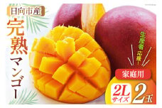 【2025年夏発送】「生産者応援・数量限定」 宮崎 完熟 マンゴー 2L×2玉 (家庭用) [宮崎県農業協同組合日向地区本部（販売課） 宮崎県 日向市 452060657] 果物 フルーツ 規格外 訳あり 完熟マンゴー 甘い 日向 期間限定 冷蔵