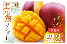 【2026年夏発送】「生産者応援・数量限定」 宮崎 完熟 マンゴー 2L×2玉 (家庭用) [宮崎県農業協同組合日向地区本部（販売課） 宮崎県 日向市 452061563] 果物 フルーツ 規格外 訳あり 完熟マンゴー 甘い 日向 期間限定 冷蔵