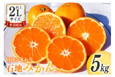 【期間限定発送】 みかん 2L サイズ以上 石地みかん 5kg [ひまわり農園 宮崎県 日向市 452061494] ミカン 柑橘 フルーツ 果物 数量限定