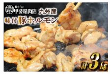 九州産味付豚ホルモン 300g×10袋 計3kg [甲斐精肉店 宮崎県 日向市 452060586] 味付き 焼肉 肉 冷凍 国産 豚肉 焼くだけ ホルモン 野菜炒め BBQ