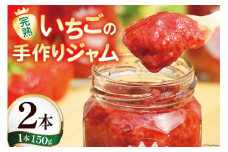 ジャム 亀の子いちご園自慢の完熟いちごの手作りジャム2本セット [亀の子いちご園 宮崎県 日向市 452060599] イチゴ 苺 食べ比べ 手作り