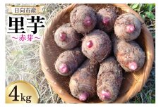 【期間限定発送】 里芋 赤芽 4kg [甲斐自然派農園 宮崎県 日向市 452060524] さといも ホクホク