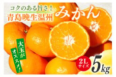 【期間限定発送】 みかん 5kg コクのある甘さ うまぁ〜い！！青島晩生温州みかん 2L [黒田農園 宮崎県 日向市 452061302] 果物 フルーツ ミカン 蜜柑 柑橘
