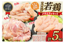宮崎県産若鶏5kgセット（もも2kg むね2kg ささみ1kg） [アイフーズ 宮崎県 日向市 452060753] 肉 鶏肉 冷凍 小分け モモ肉 もも肉 むね肉 ムネ肉 胸肉 ささみ ササミ