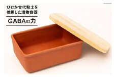 容器 漬け土器 GABAの力 約935g  [黒木建設（ひむか古代粘土） 宮崎県 日向市 452060520] 石 漬物 糠漬け お手軽 古代粘土