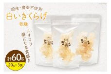 きのこ きくらげ 白いきくらげ 白翠 乾燥 20g×3袋 [きくらげ堂 日向店 宮崎県 日向市 452060987] 国産 キクラゲ 白