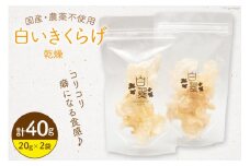 きのこ きくらげ 白いきくらげ 白翠 乾燥 20g ×2袋 [きくらげ堂 宮崎県 日向市 452060689] 国産 キクラゲ 白